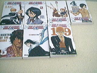 Bleach de Tite Kubo